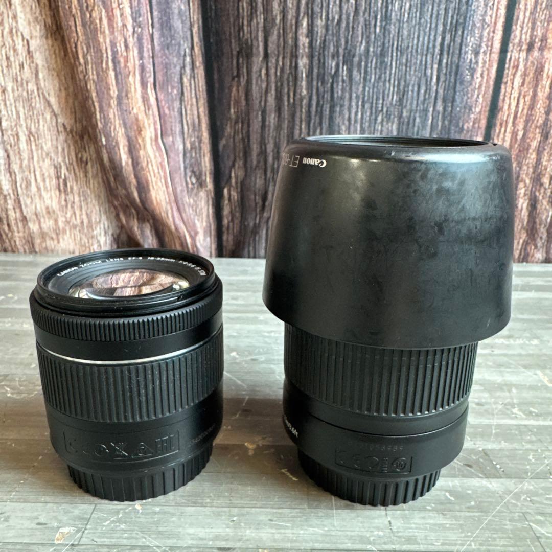 Canon EF-S 55-250mm ズームレンズ EF-S 18-55mm
