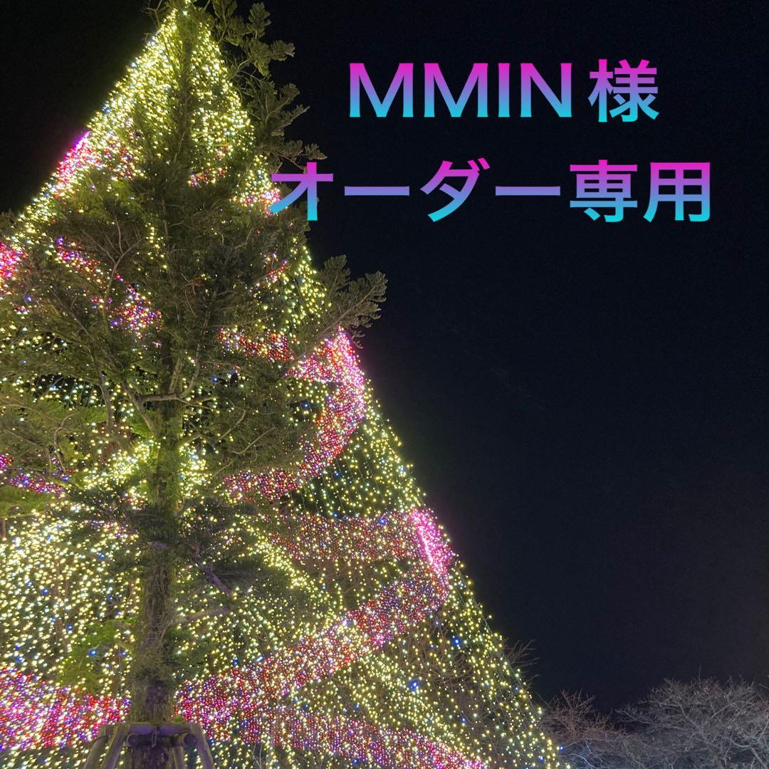 MMIN様オーダー専用ページ