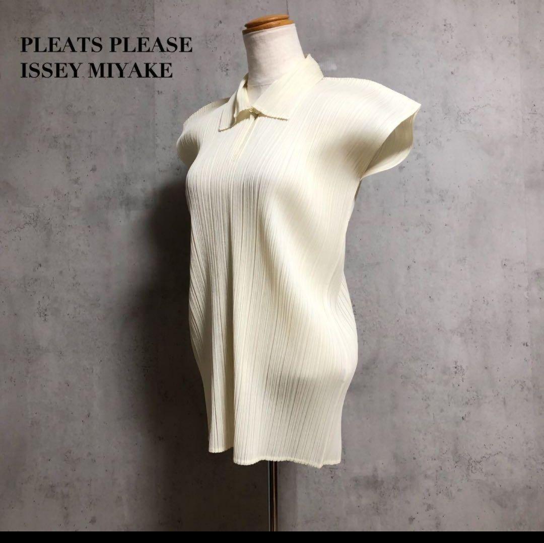 プリーツプリーズ　フレンチスリーブ　半袖