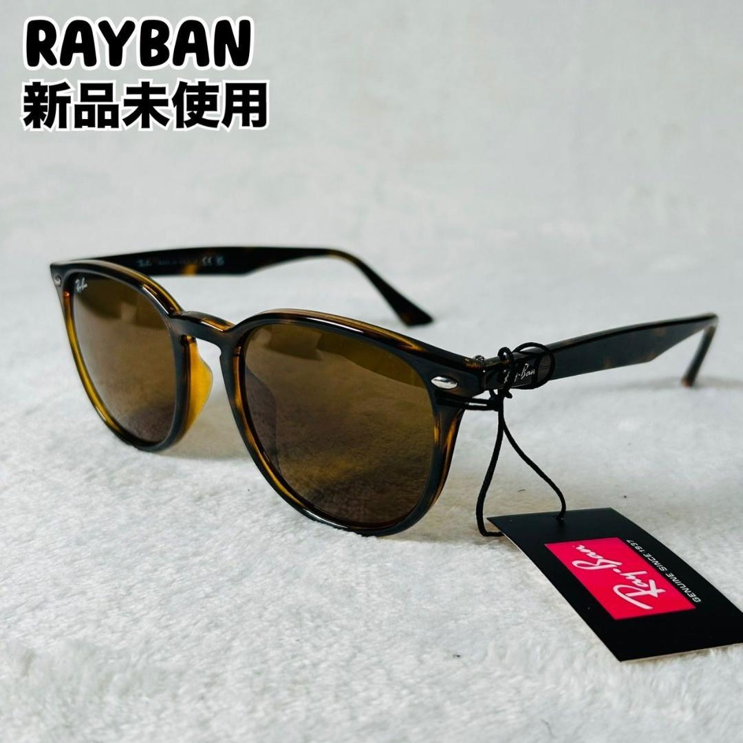 RayBan レイバン サングラス パントスシェイプ ダークブラウン