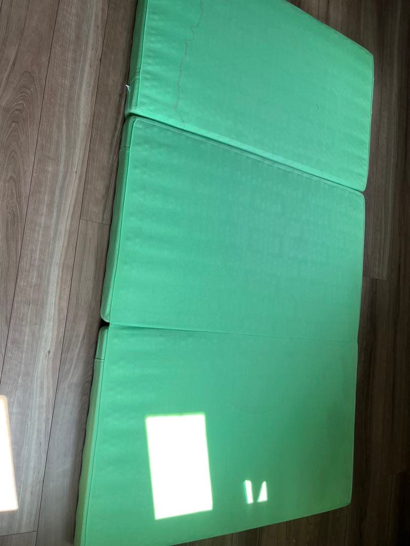 ヘルスウェーブゴールド すややかD.C.Version セミダブル　カイロ