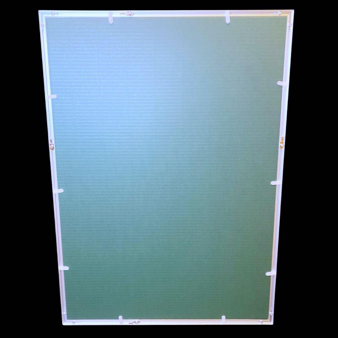 【模写】貴重 世界限定100枚 アンディ・ウォーホル ジョン・レノン リトグラフ