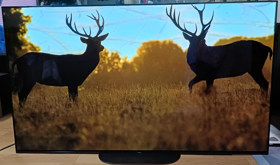 あき　美品19年製65V型 SONY BRAVIA KJ-65A9G