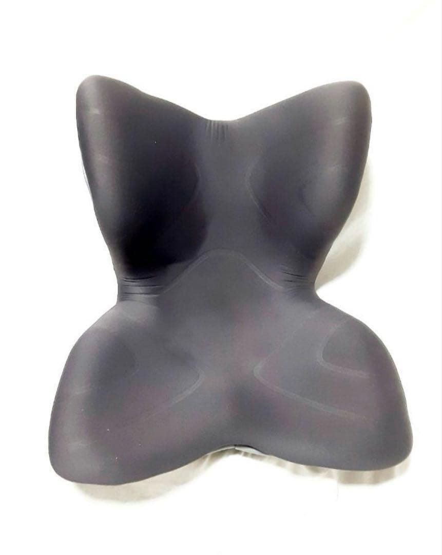 MTG Style PREMIUM スタイルプレミアム 座椅子 姿勢サポート