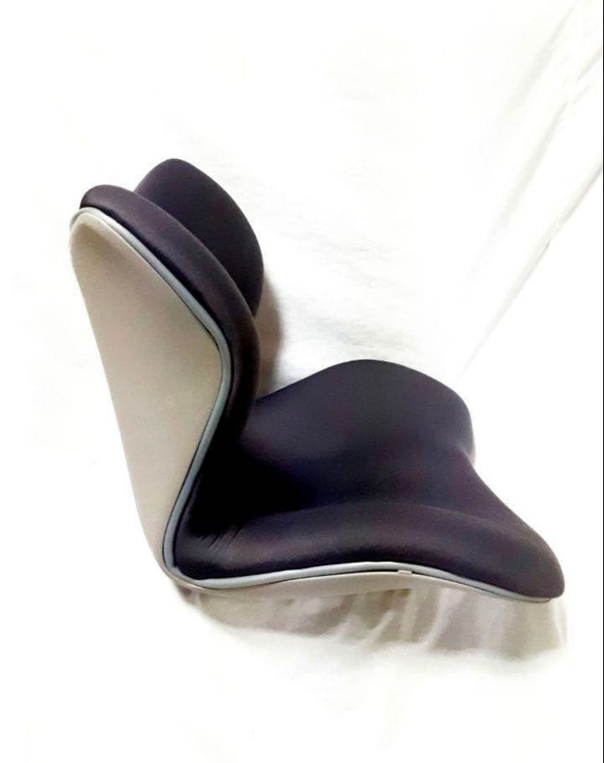 MTG Style PREMIUM スタイルプレミアム 座椅子 姿勢サポート