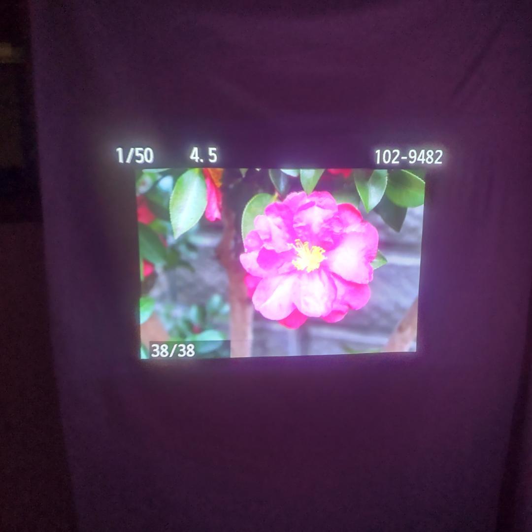 D-ILAプロジェクター victor HD-750B リモコン付 配送料無料。