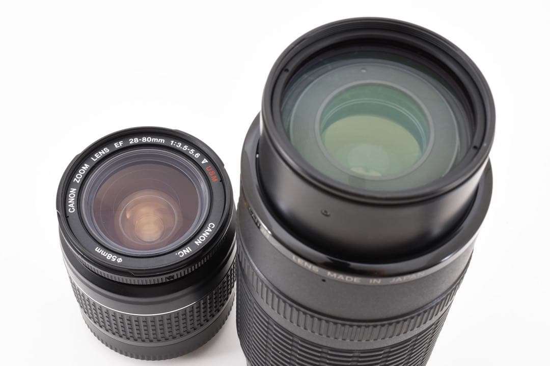 保証付き/Canon EOS 6D mark II標準&望遠ダブルレンズセット