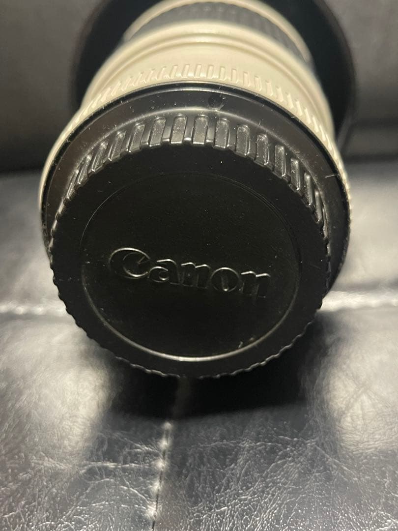 L*y様 ＣＡＮＯＮ　ＥＦ７０－２００ｍｍ　Ｆ４Ｌ　ＩＳ　ＵＳＭ