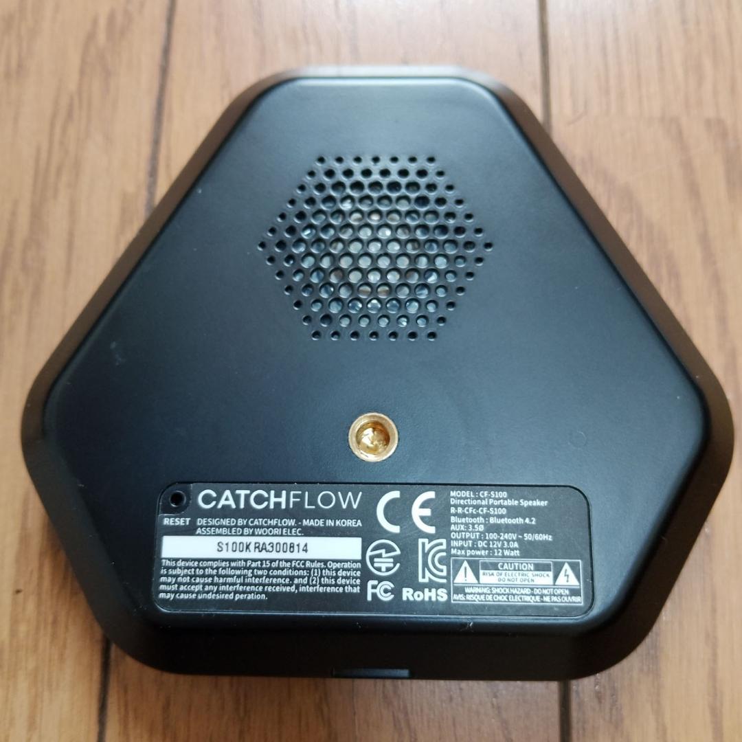 SRAY 指向性スピーカー CF-S100 エスレイ