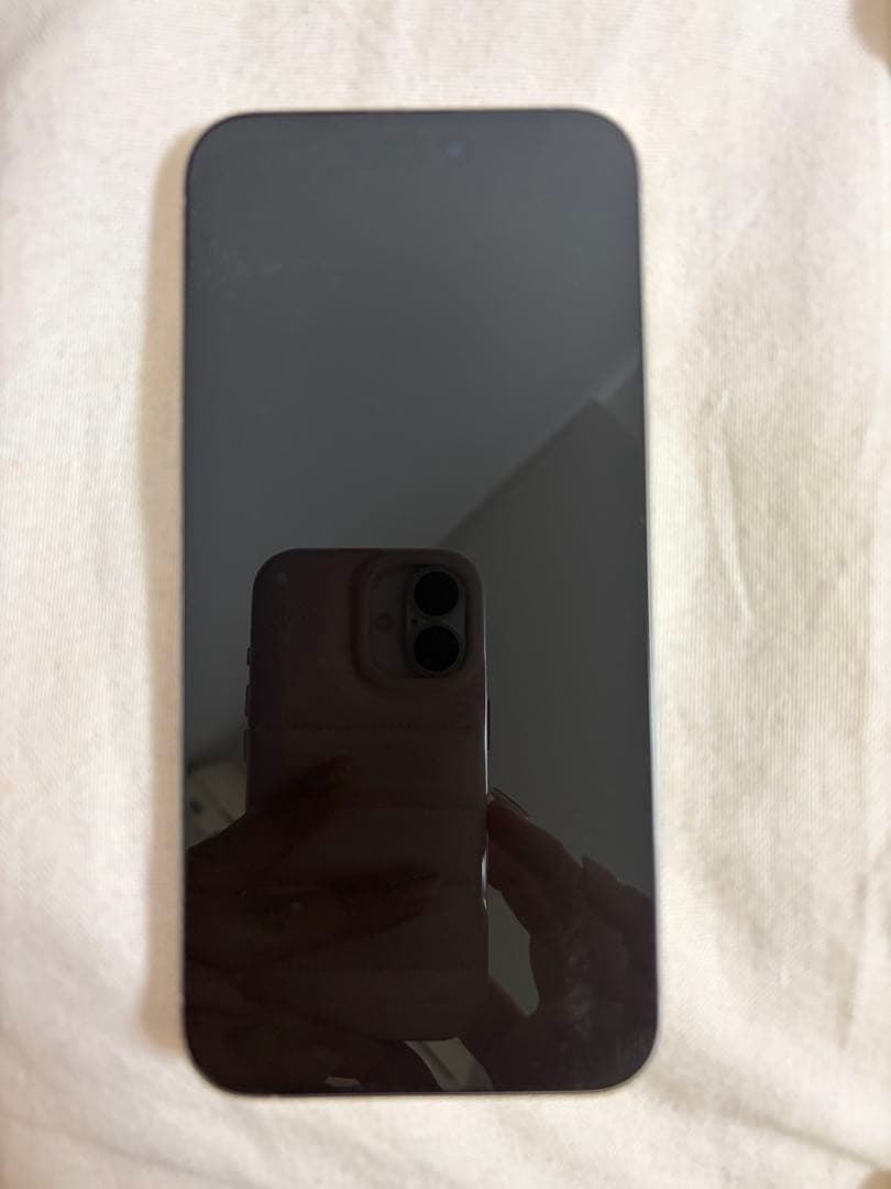 iPhone 15Pro Max 256GB ホワイトチタニウム本体　美品