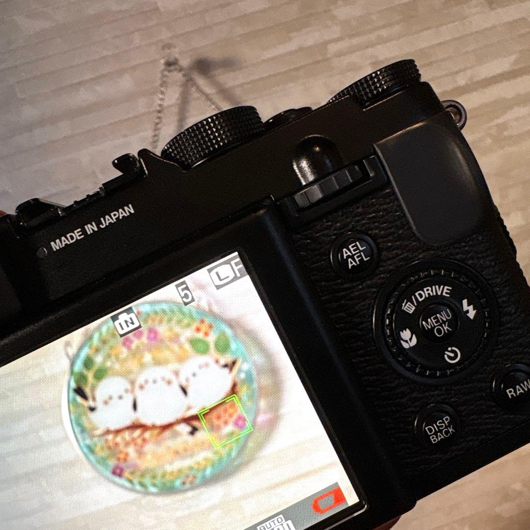 ✧*。希少品✧*。 FUJIFILM X10 中古 デジタルカメラ 箱あり