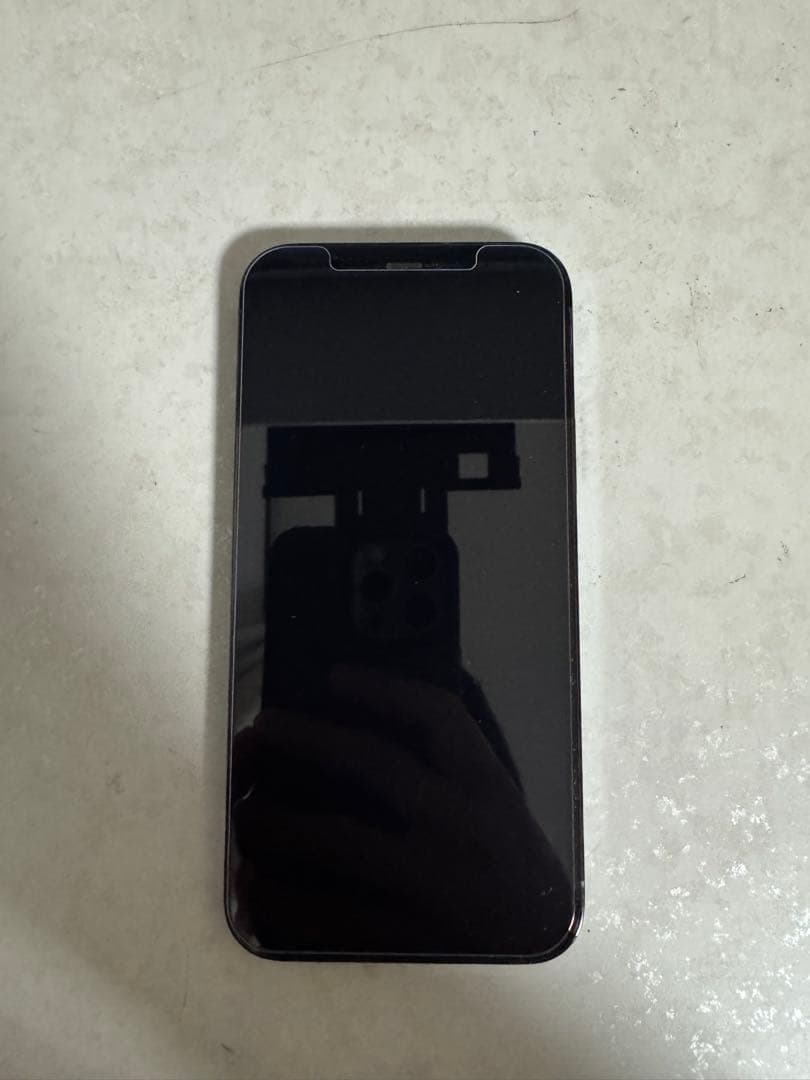 美品　iPhone12 Pro 256GB SIMフリー 即発送