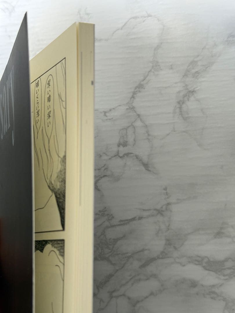 森博嗣 PRAMM10 10周年記念本（初版）