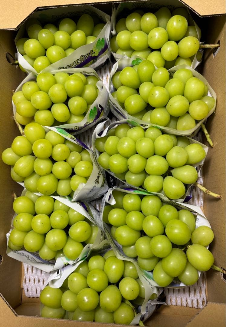 山梨県産JA共選品シャインマスカット⭐️9房入り箱込み約5.7キロ