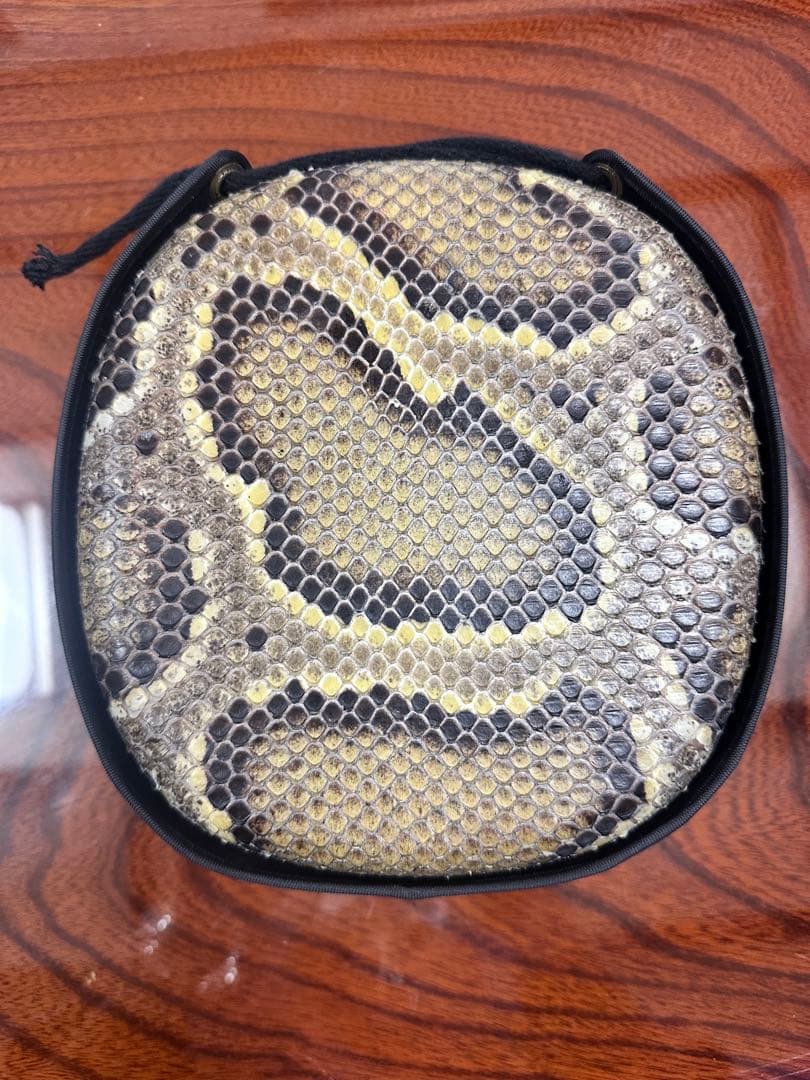 bigpig様 三線 本張チーガ