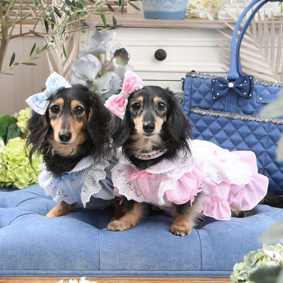 新品　リュクスバーディ Luxe birdie エマーブルワンピース　ブルー