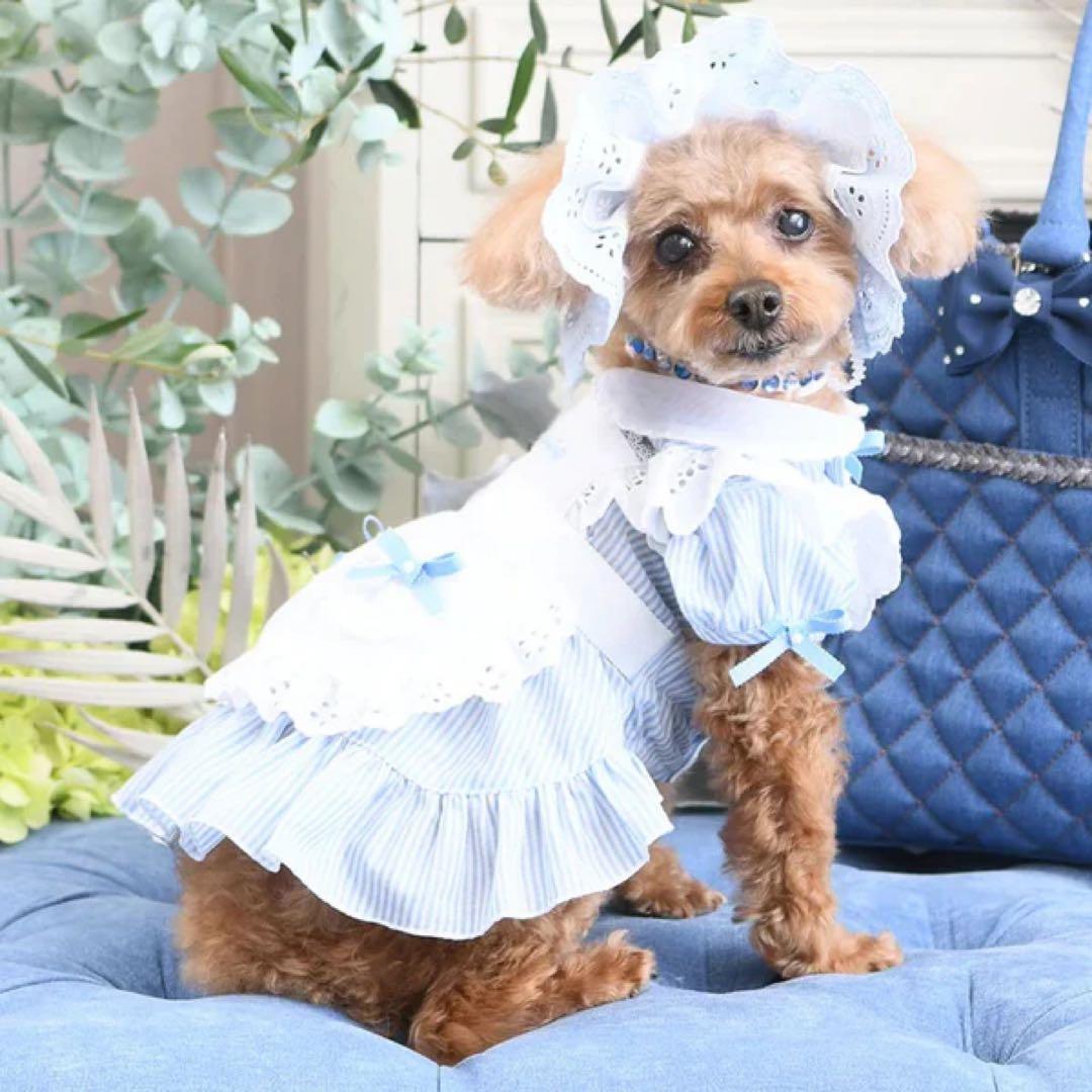 新品　リュクスバーディ Luxe birdie エマーブルワンピース　ブルー