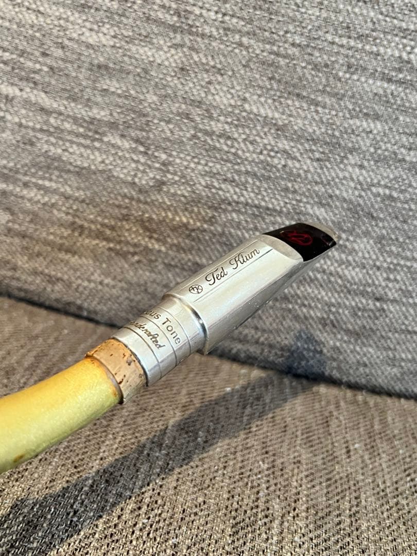 ted klum focustone solid silverマウスピース