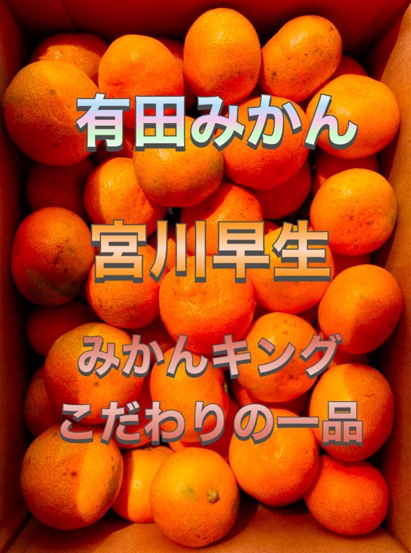 専用出品　いちご様　10kg