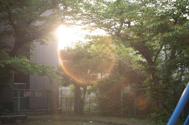 【玉ボケが綺麗なオールドレンズ】smc takumar 55mm f1.8