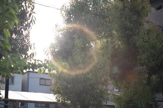 【玉ボケが綺麗なオールドレンズ】smc takumar 55mm f1.8