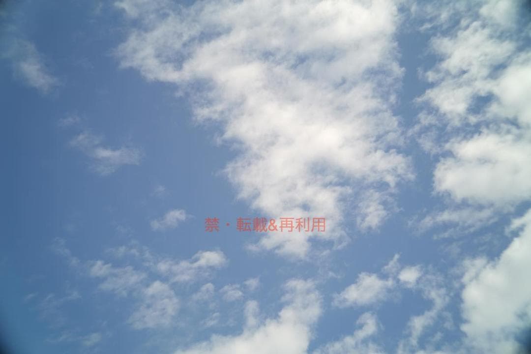 [完動並・作例あり]Jupiter-12 35mmF2.8 Walzフード固定