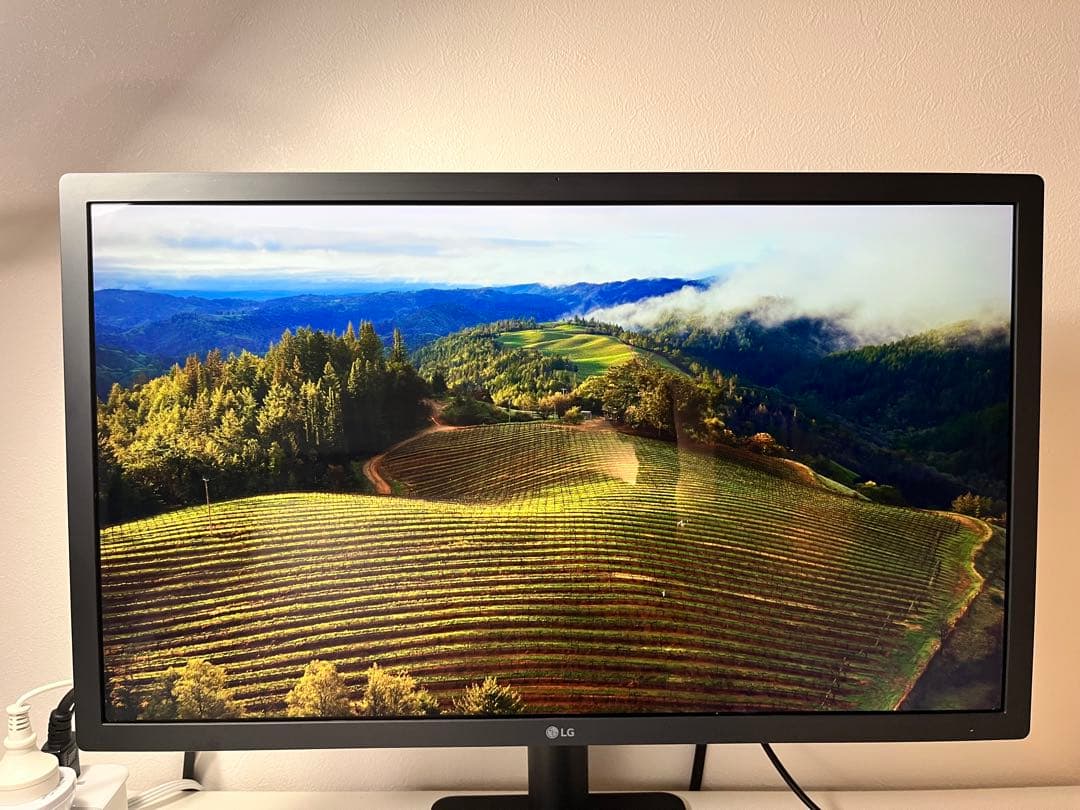 Apple LG Ultrafine 22MD4KA-B 21.5インチモニター