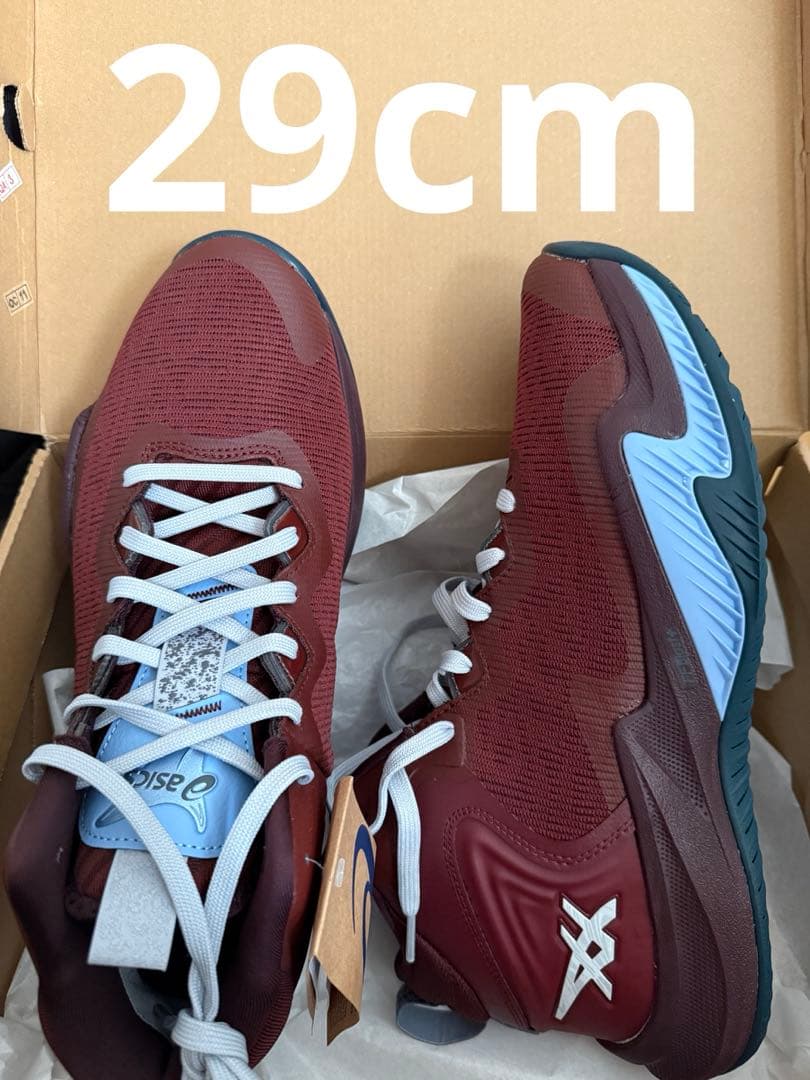 ASICS ノヴァサージ3 NOVA SURGE3 29cm