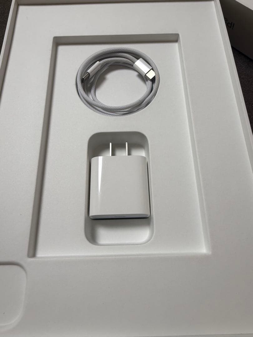 ヤマダ iPad Pro M4 WiFi