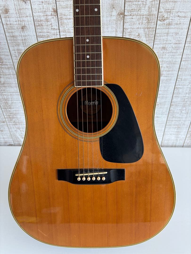 Morris アコースティックギター
