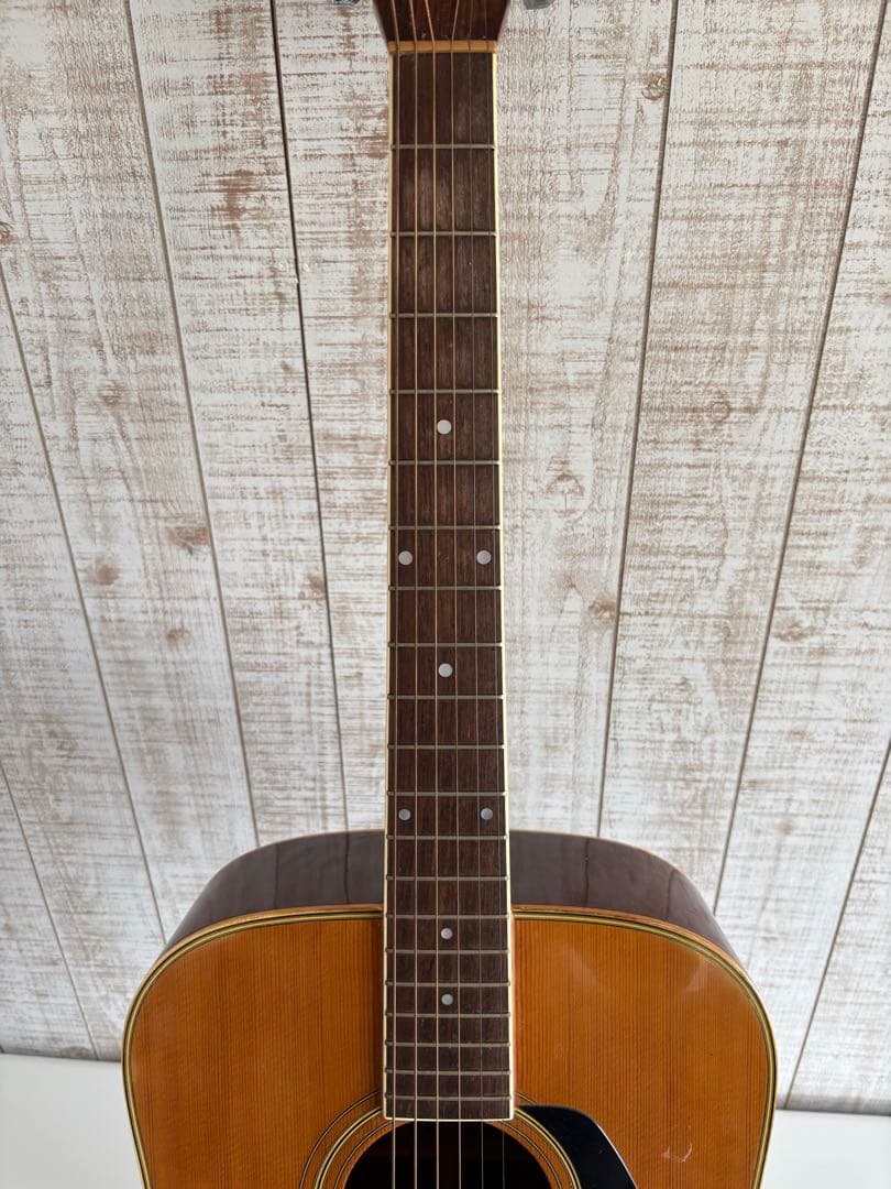 Morris アコースティックギター