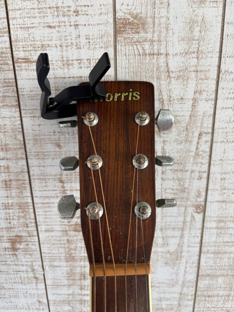 Morris アコースティックギター