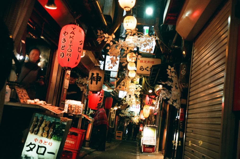 【動作確認済/完動品】Konica Minolta Zoom 160C