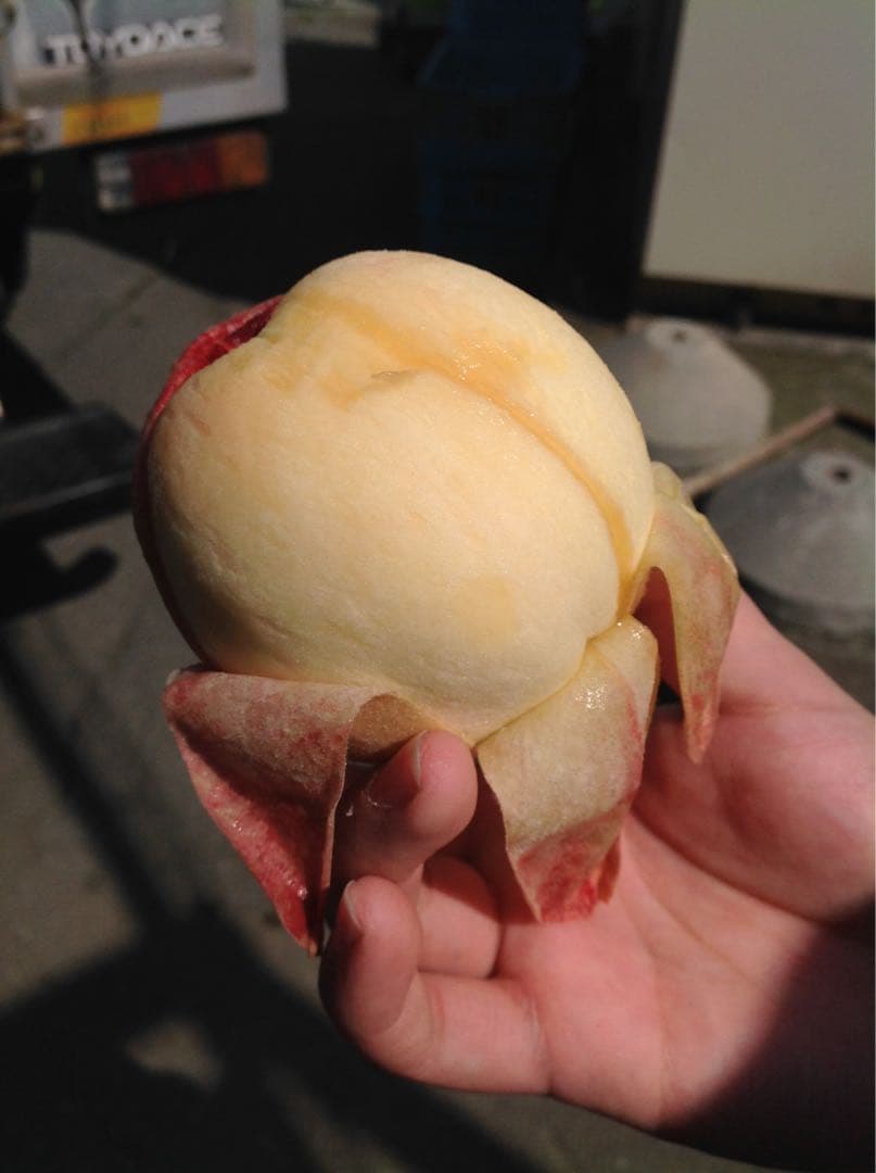 Shiki クール便2箱