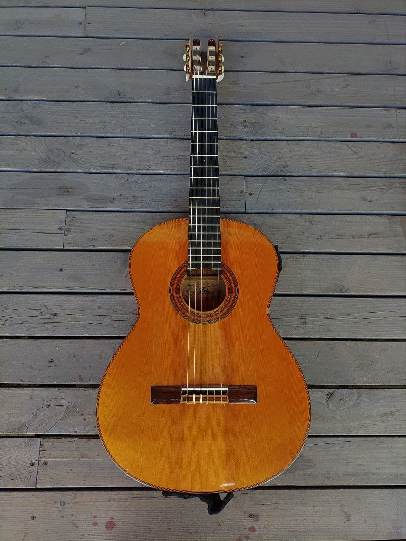 アコースティック ギター アリア A-100F フラメンコギター