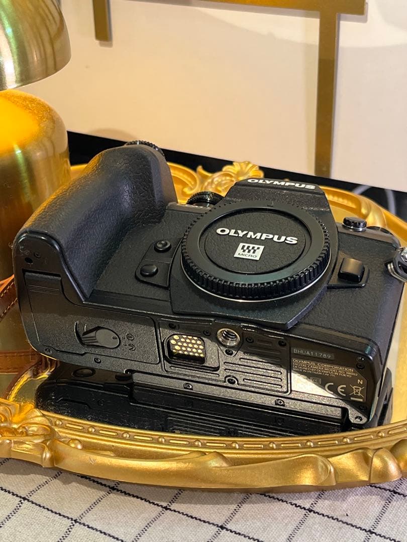 OLYMPUS OM-D E-M1 Mark II ボディ 美品 5578回