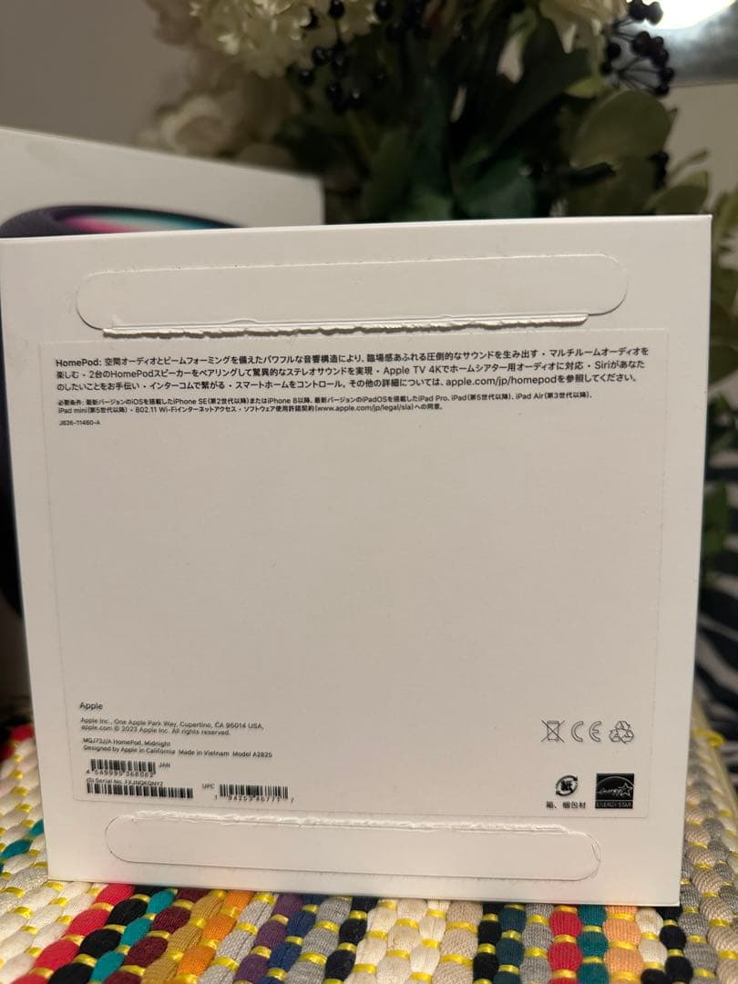 Apple Pod ブラック