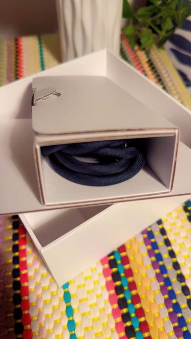 Apple Pod ブラック