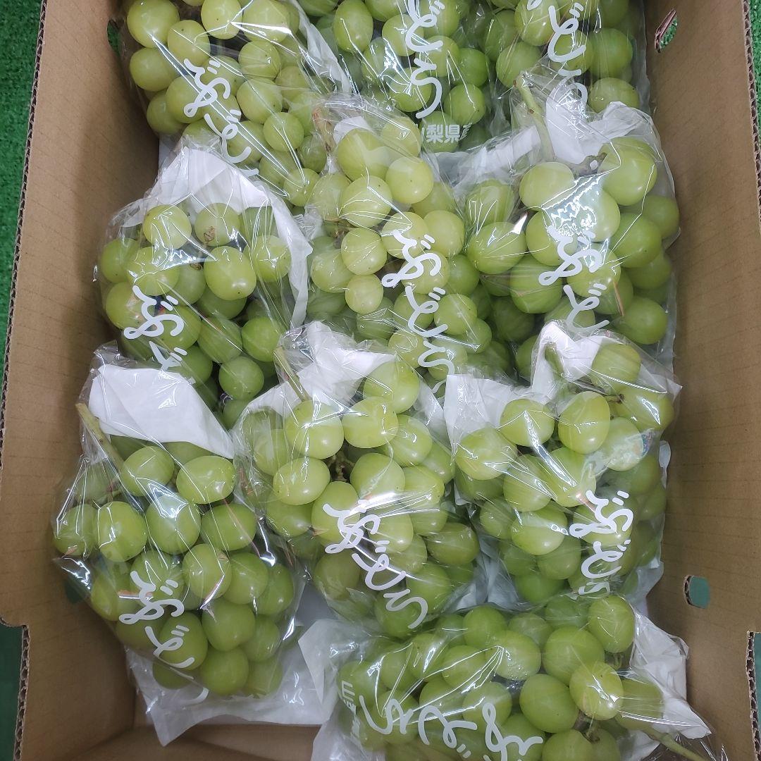 7️⃣ 山梨県産 シャインマスカット １０房入り 箱込み5.3キロ