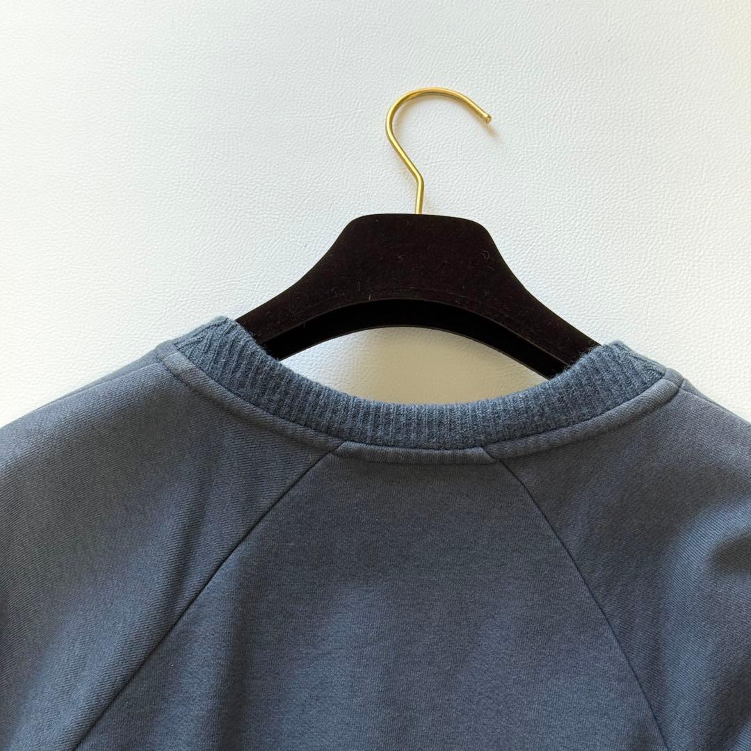 ✨近年モデル 完売品✨ ロエベ クロップド アナグラム 刺繍ロゴ スウェット