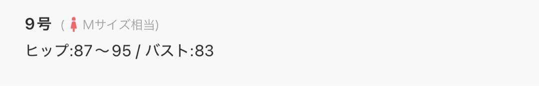 水着 9号 ペプラム ギンガムチェック風 3点セット