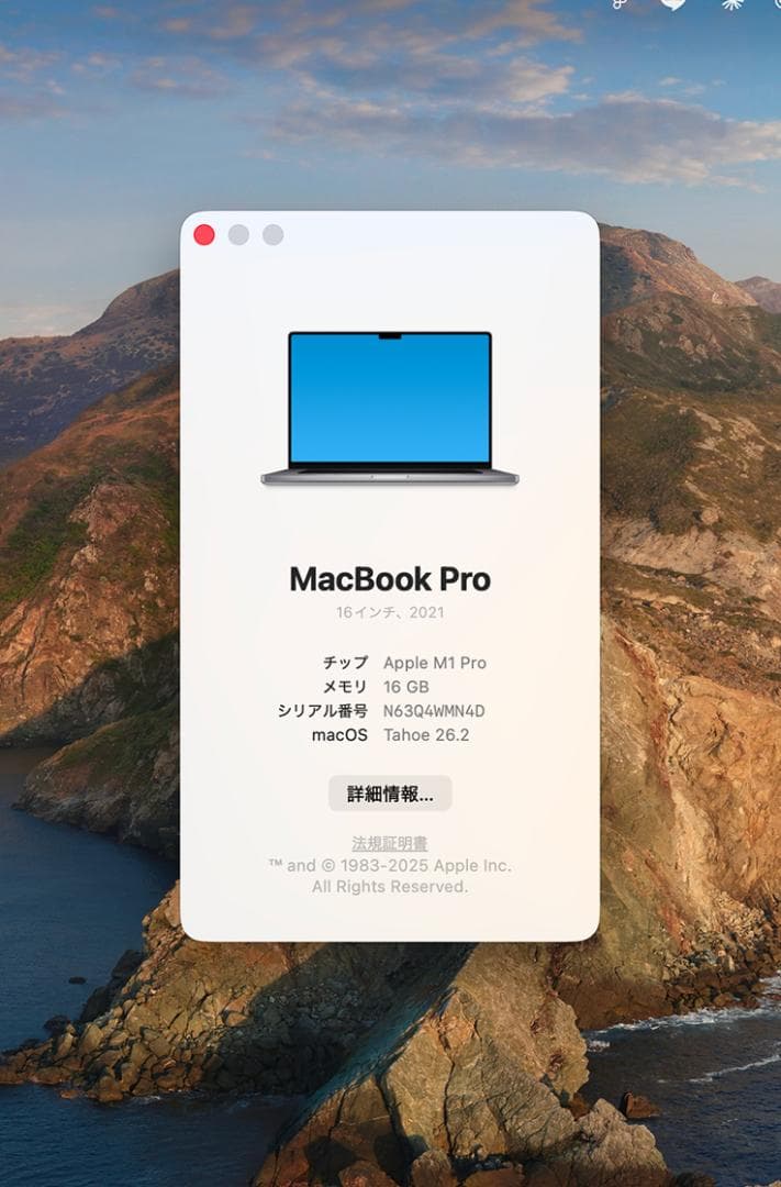 【美品】16 inch MacBook Pro 2021 M1pro 16GB