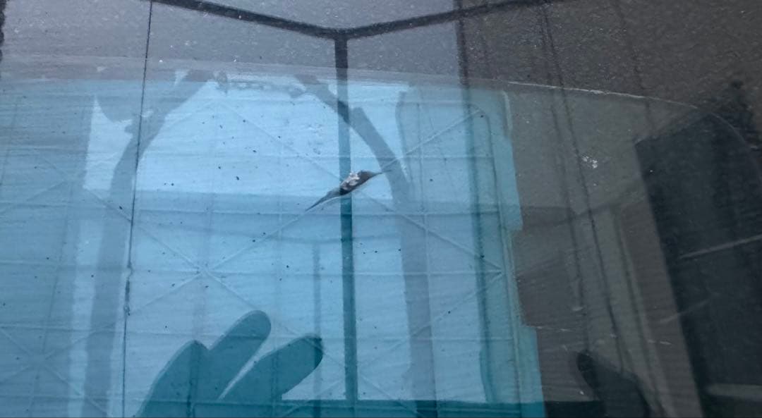 ティントガラス　フロント　リア　ティント　1964インパラ