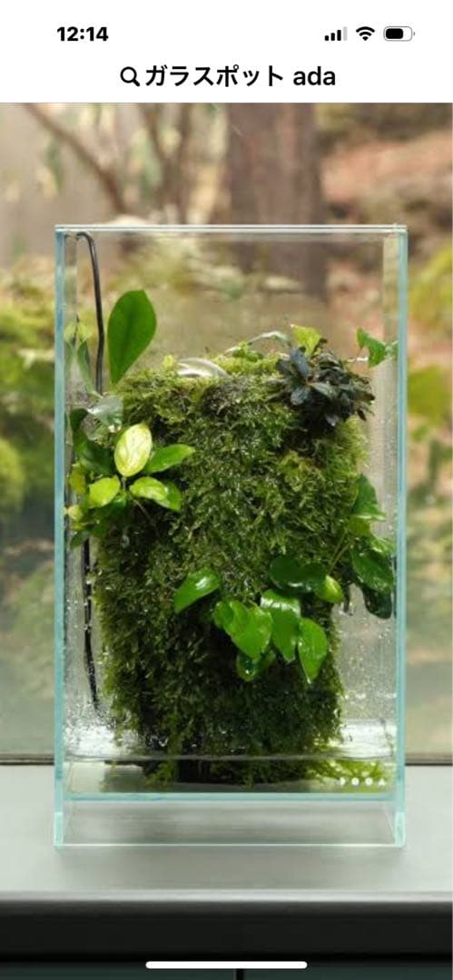 廃盤未使用 ADA Do!aqua プラントグラス 15×15×20 ２個