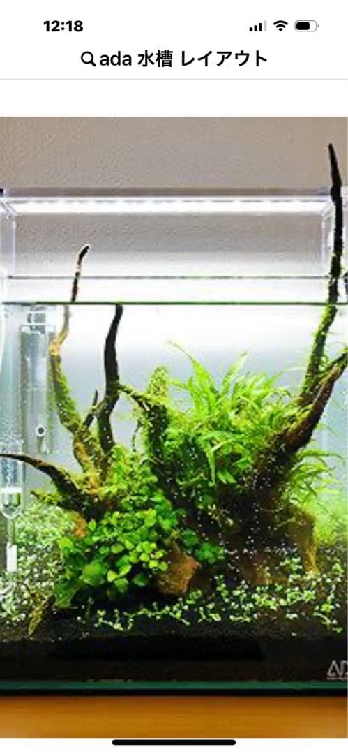 廃盤未使用 ADA Do!aqua プラントグラス 15×15×20 ２個