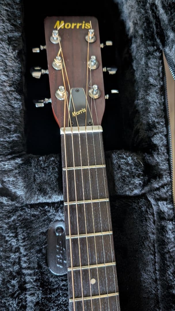 Morris F-15 1975年製 ジャパンヴィンテージ