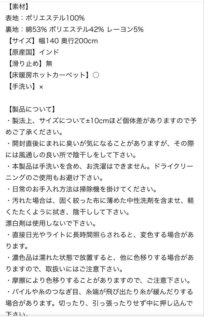 JOURNAL STANDARD FURNITURE ペイズリー柄　ラグ