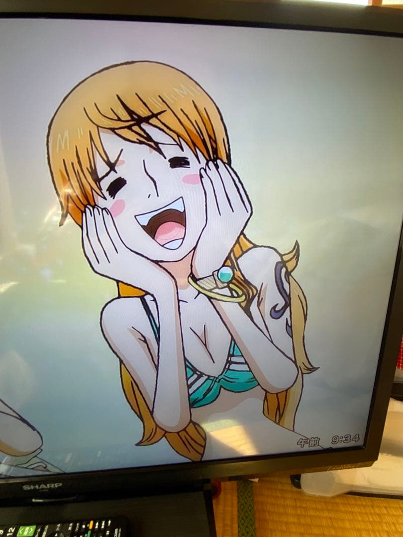 SHARP 液晶テレビ Netflix対応　2013年製