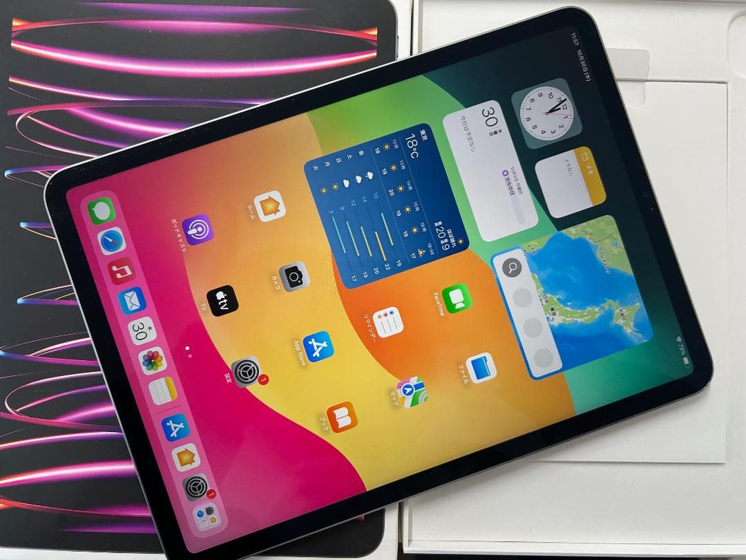 Apple iPad Pro (11インチ, 第4世代) 256GB