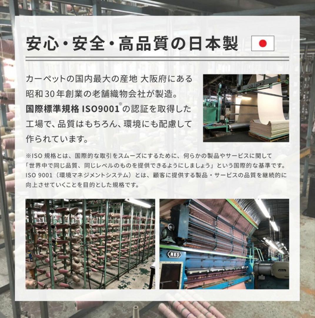 敷き詰めカーペット（ラウム）江戸間 10畳